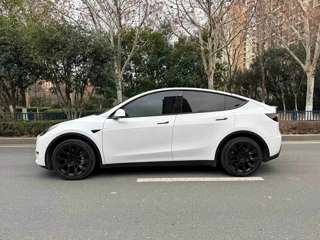 Tesla Model Y 2023 из CN, фото 8