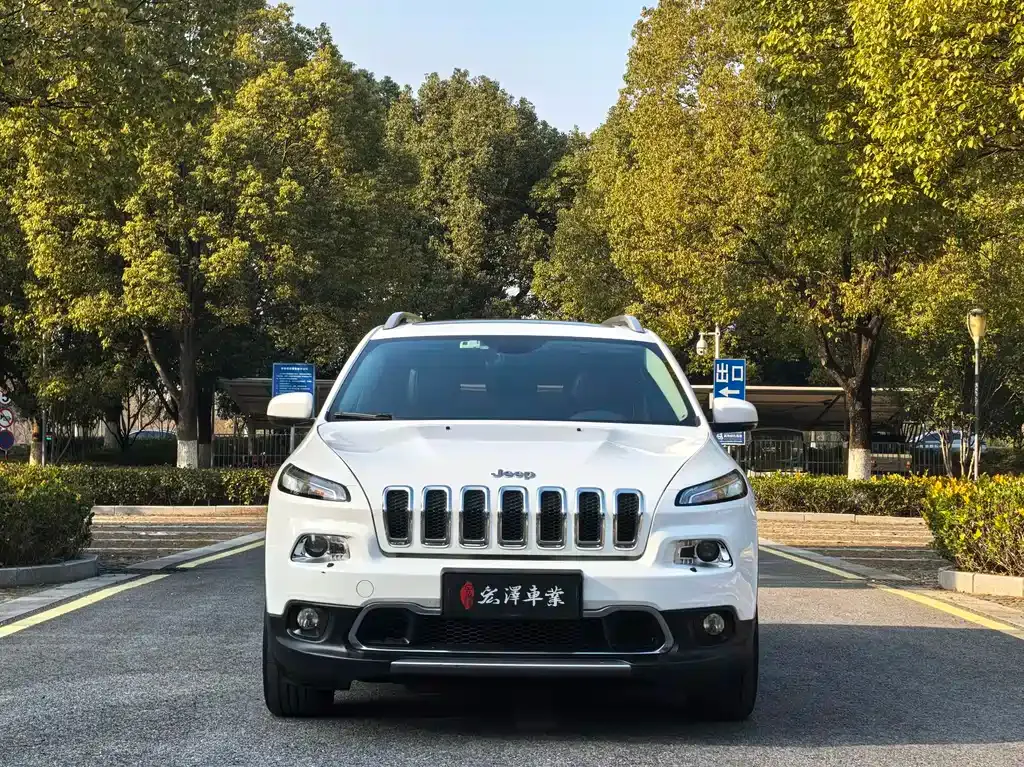 Jeep Cherokee 2021 из CN, фото 10