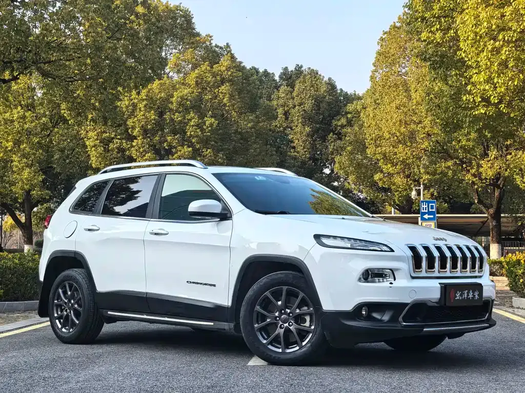Jeep Cherokee 2021 из CN, фото 6