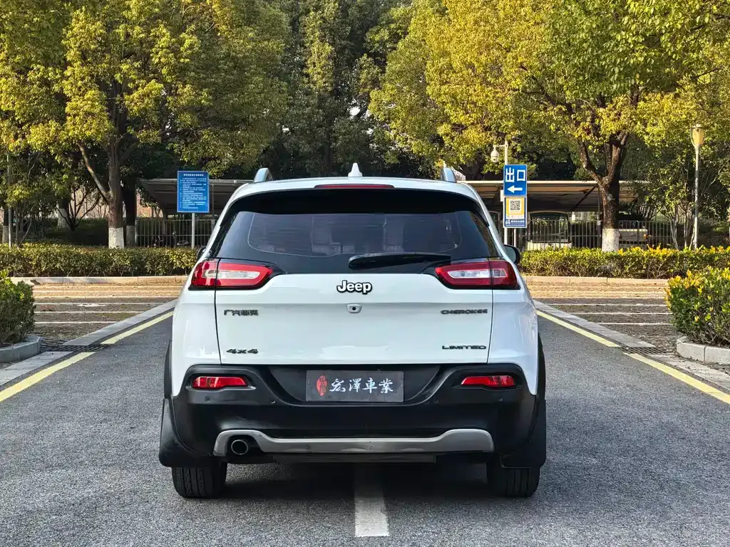 Jeep Cherokee 2021 из CN, фото 9