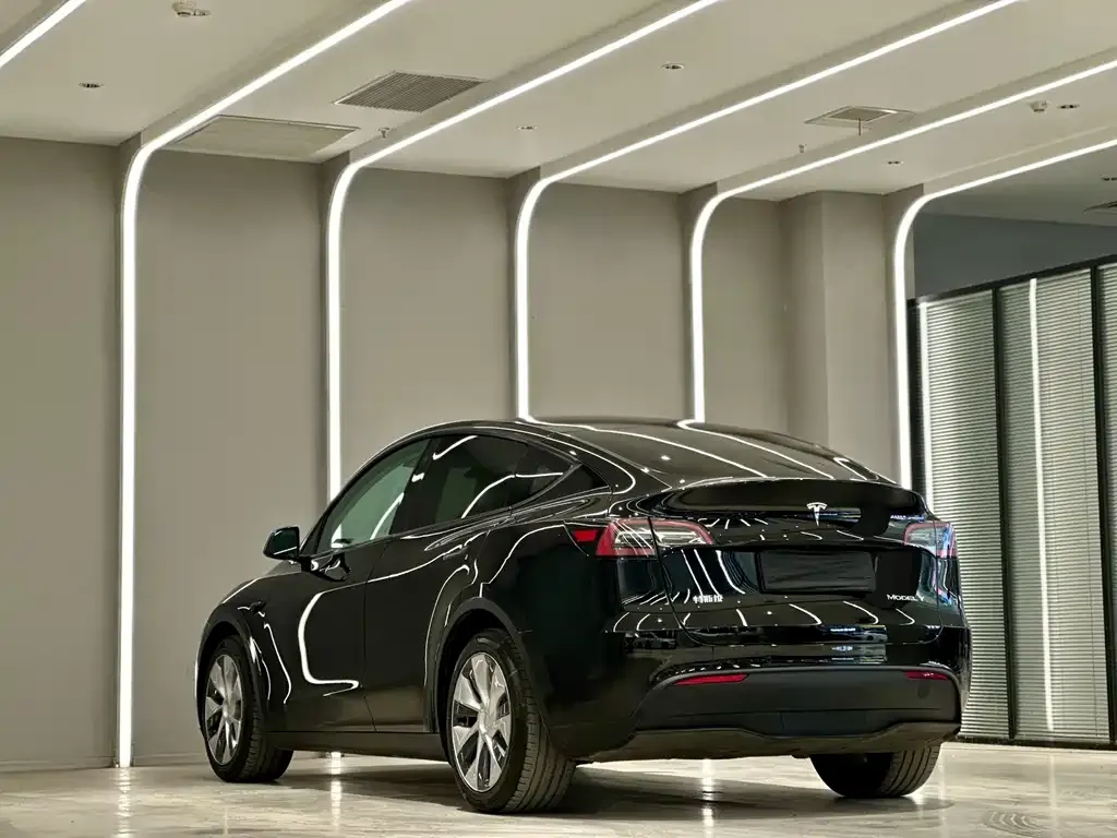 Tesla Model Y — фото 10