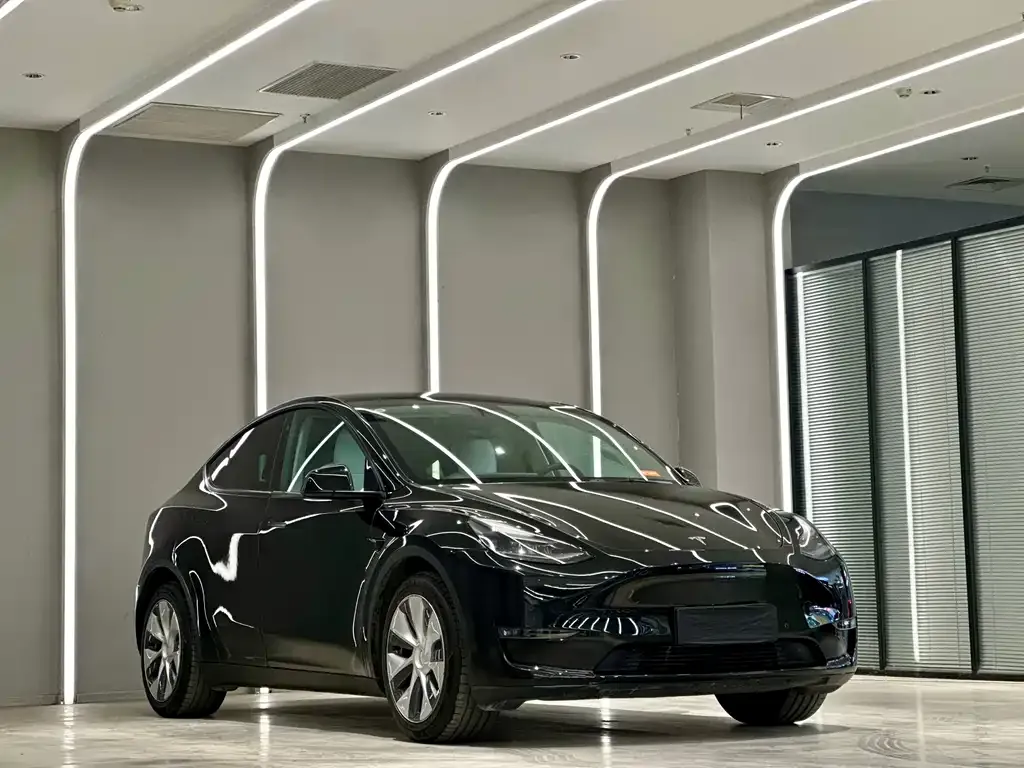 Tesla Model Y — фото 7