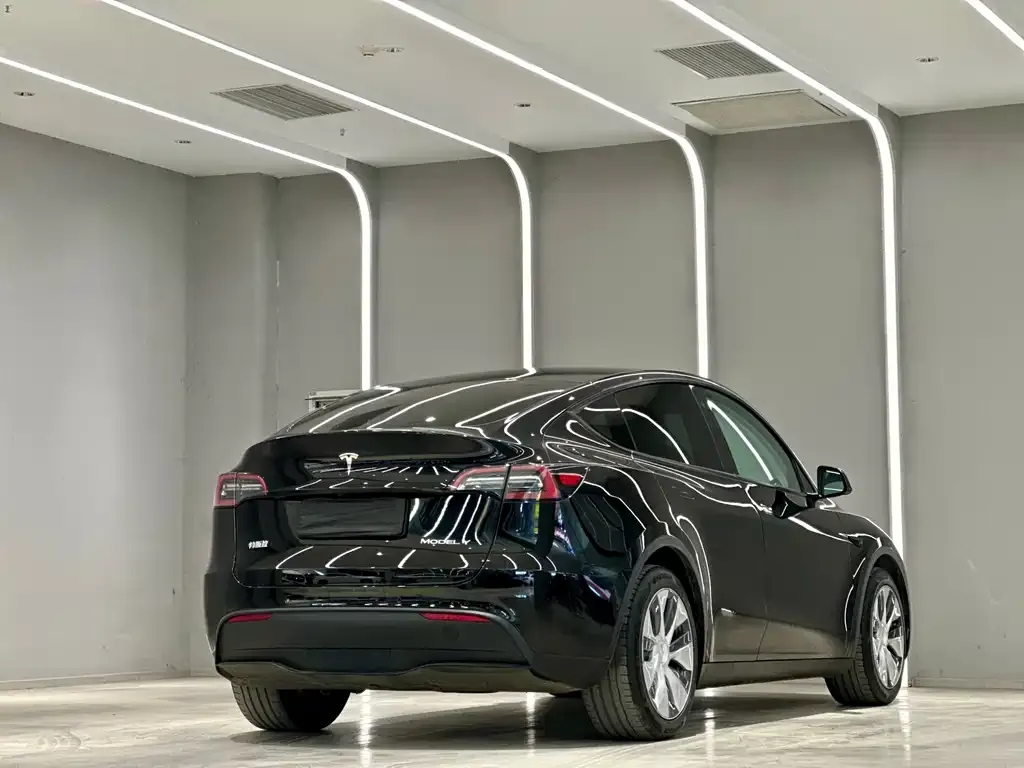 Tesla Model Y — фото 8