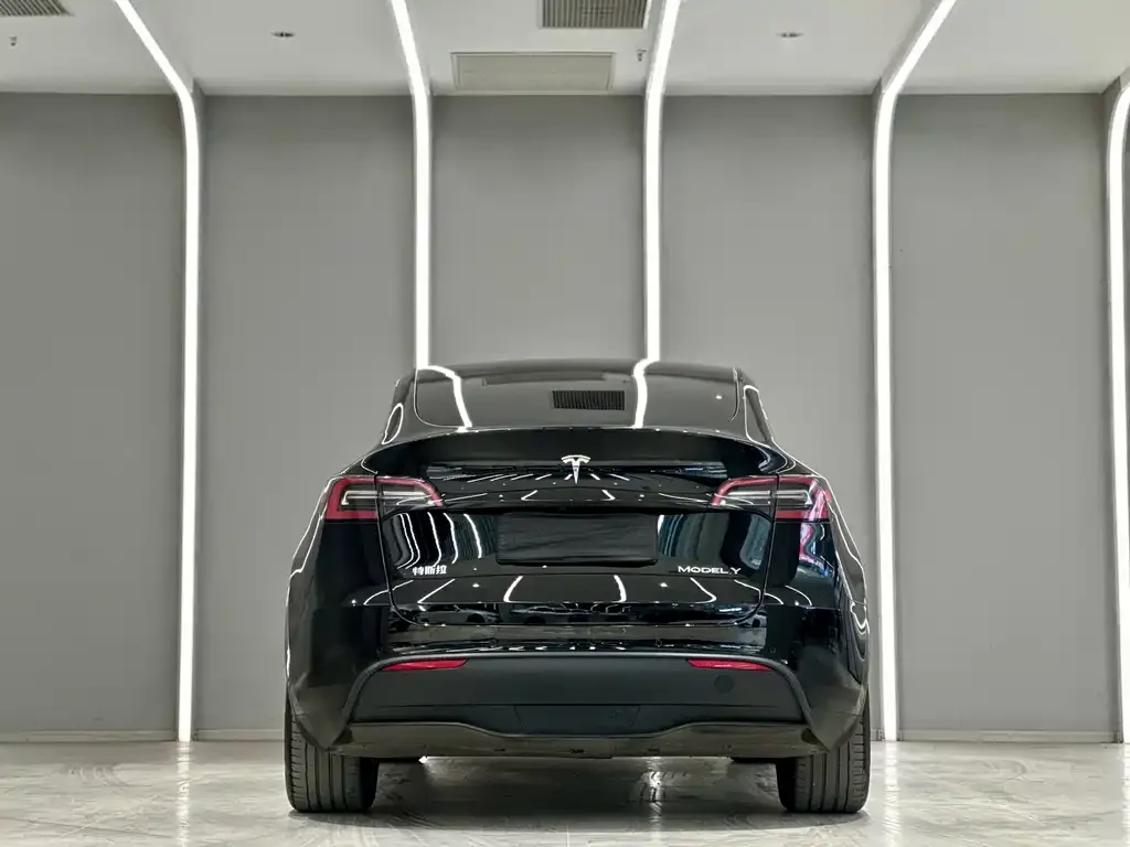 Tesla Model Y — фото 9