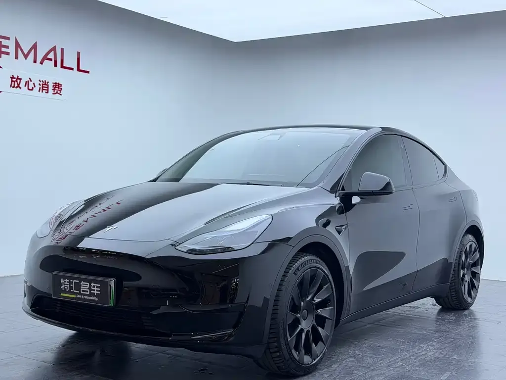 Tesla Model Y 2022 из CN, фото 1