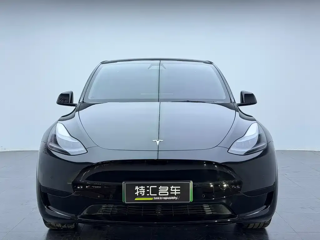 Tesla Model Y 2022 из CN, фото 9