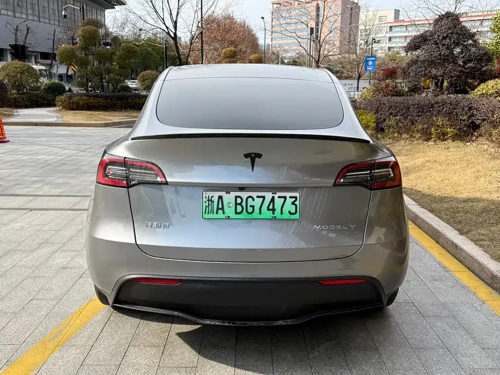 Tesla Model Y 2024 из CN, фото 6