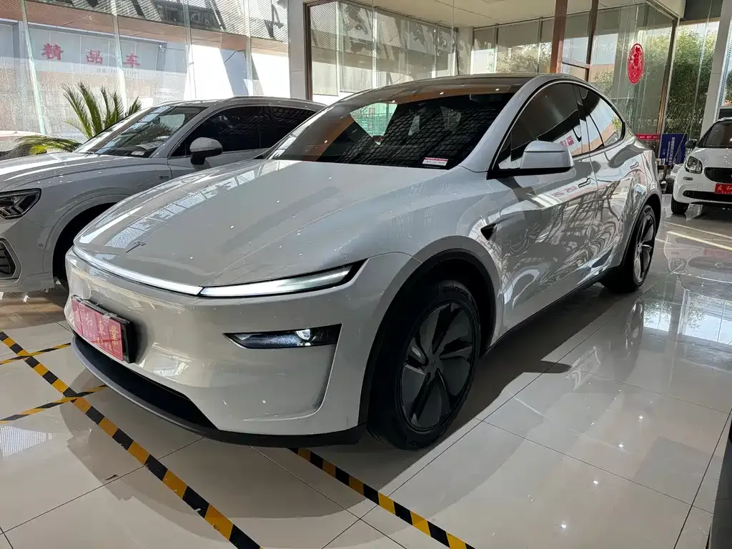 Tesla Model Y 2025 из CN, фото 1