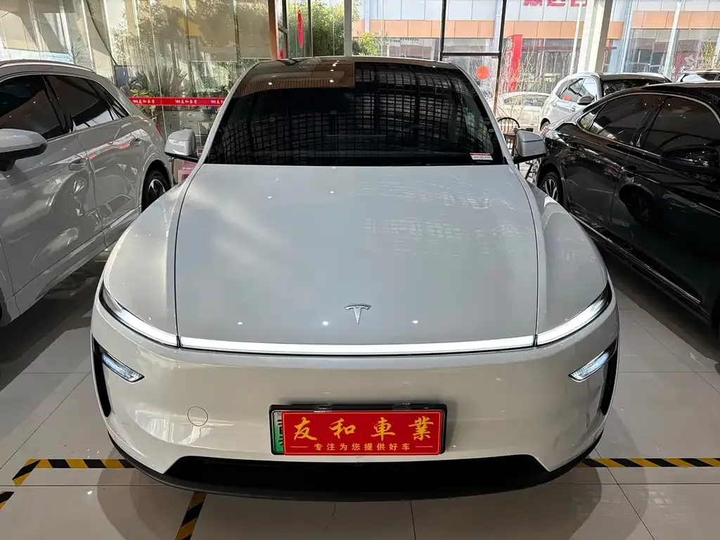 Tesla Model Y 2025 из CN, фото 4