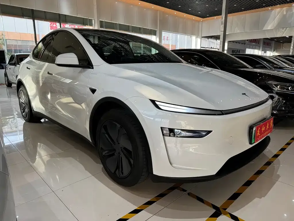 Tesla Model Y 2025 из CN, фото 5