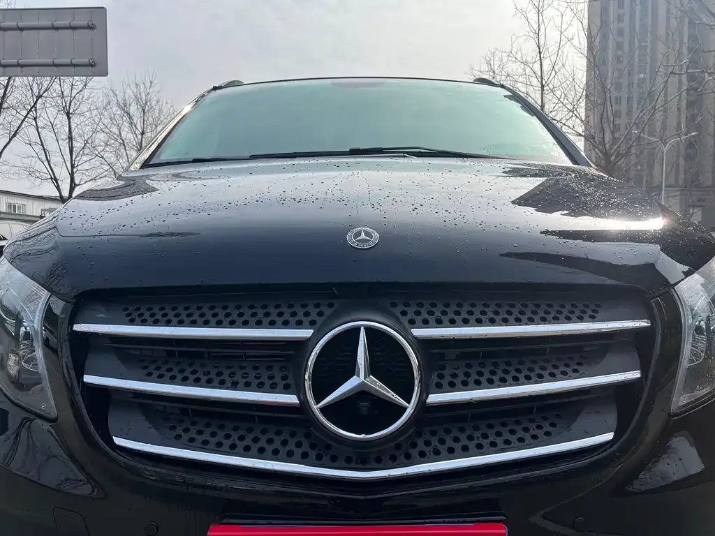 Mercedes-Benz Vito 2021 из CN, фото 4