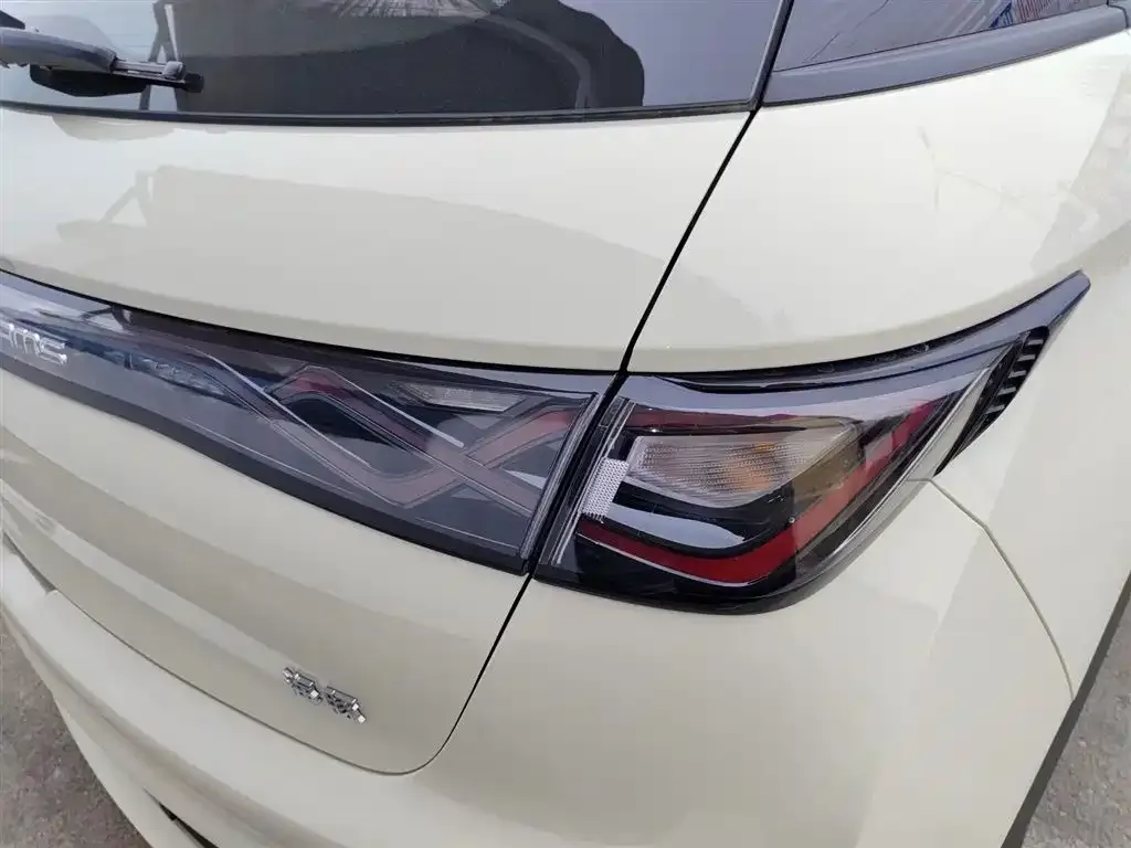 BYD Dolphin 2025 из CN, фото 2