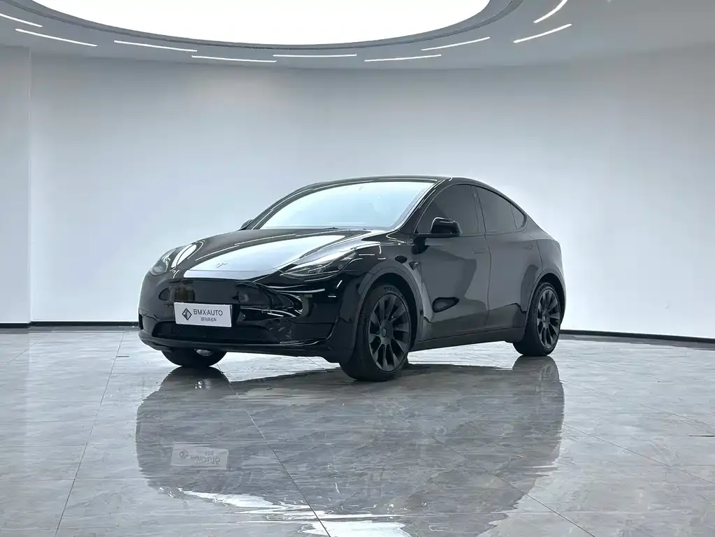 Tesla Model Y — фото 1