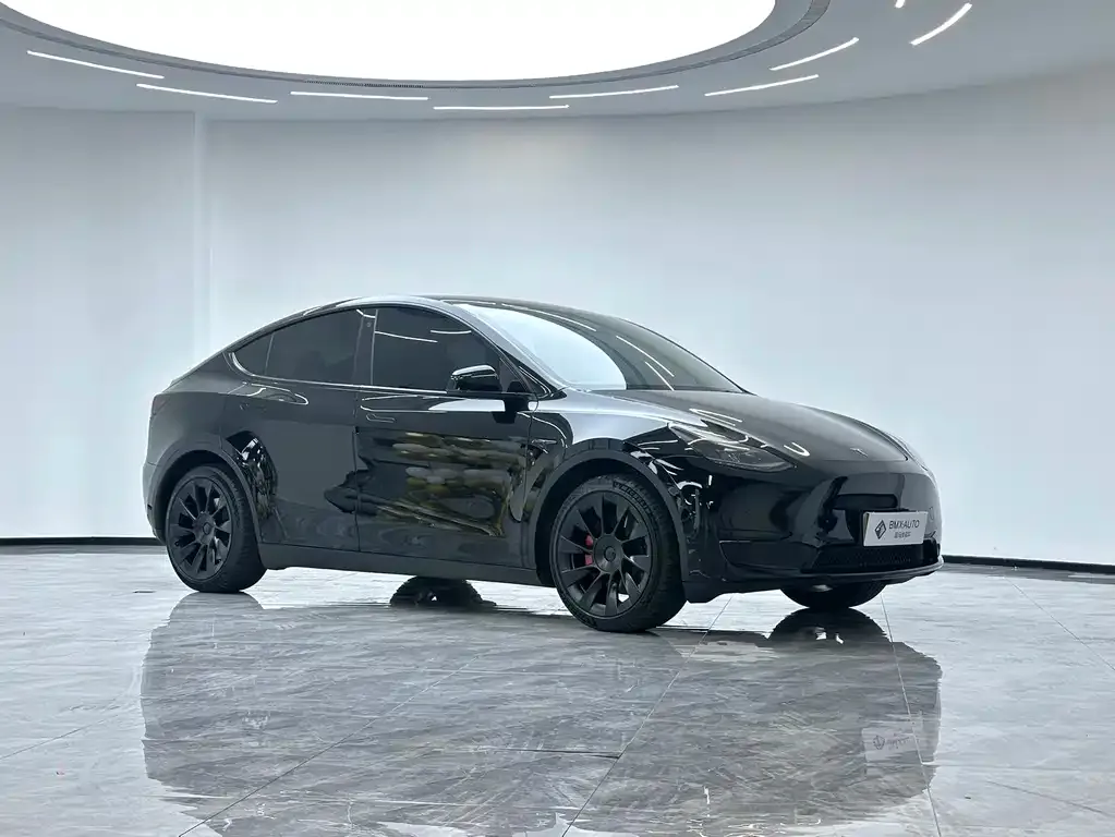Tesla Model Y — фото 10