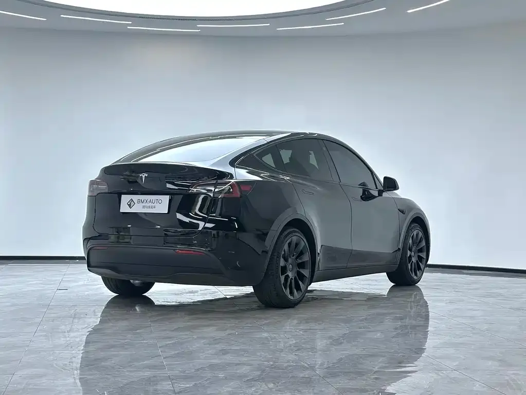 Tesla Model Y — фото 7