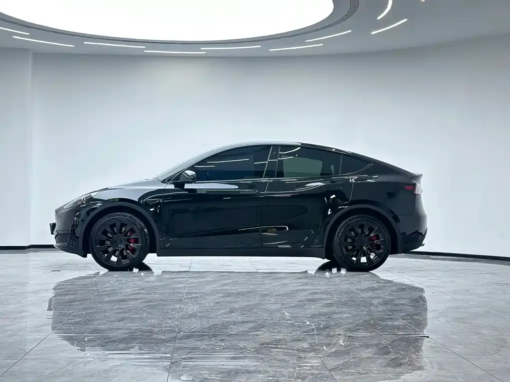 Tesla Model Y — фото 8