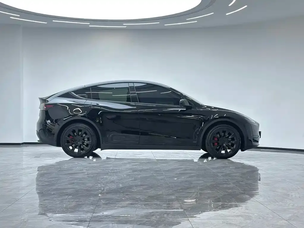 Tesla Model Y — фото 3