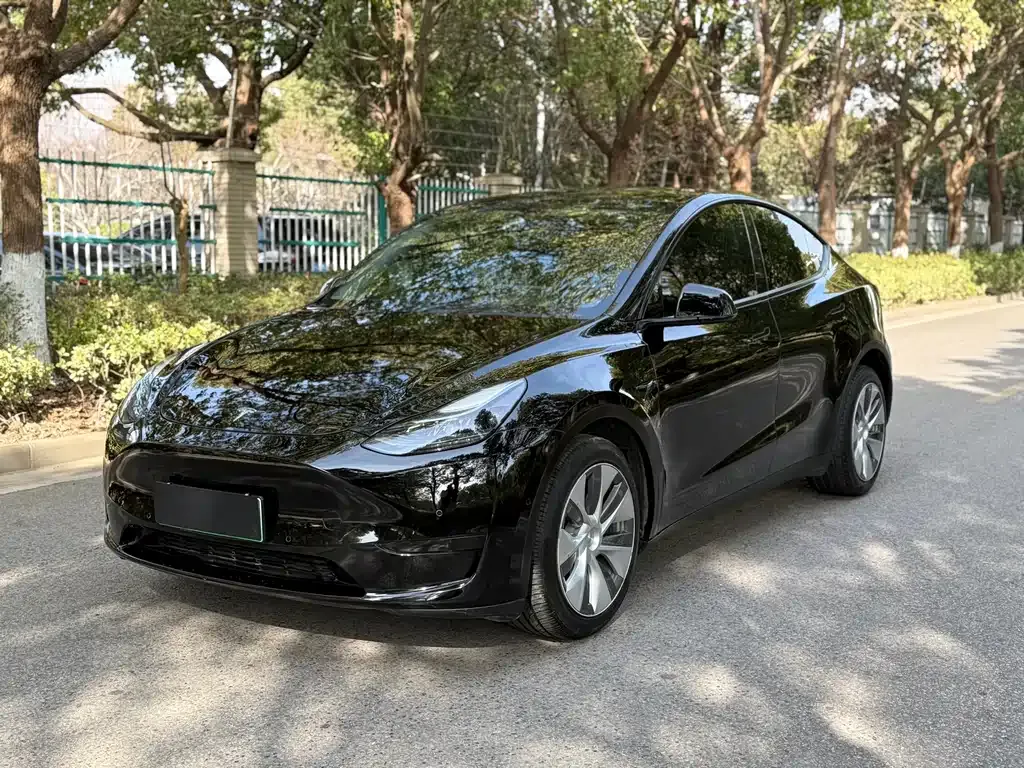 Tesla Model Y 2021 из CN, фото 1