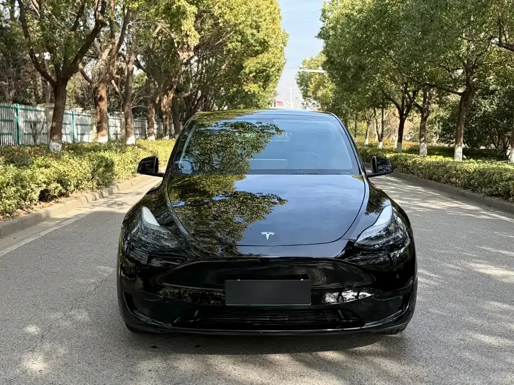 Tesla Model Y 2021 из CN, фото 3