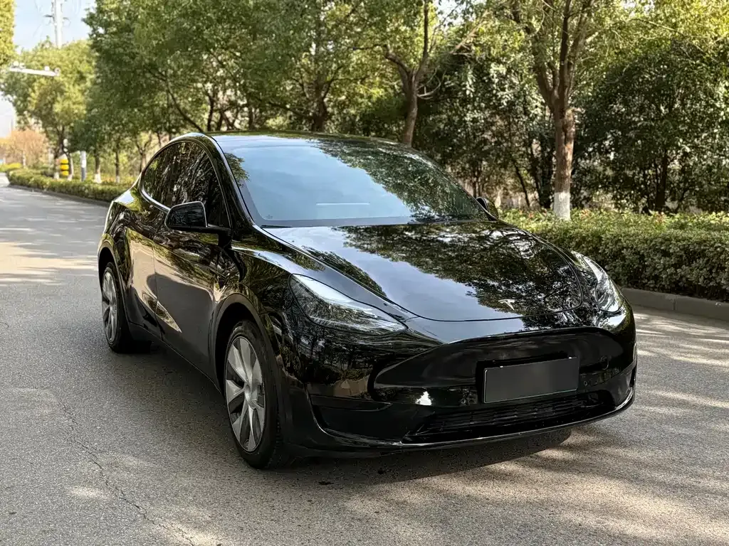 Tesla Model Y 2021 из CN, фото 8