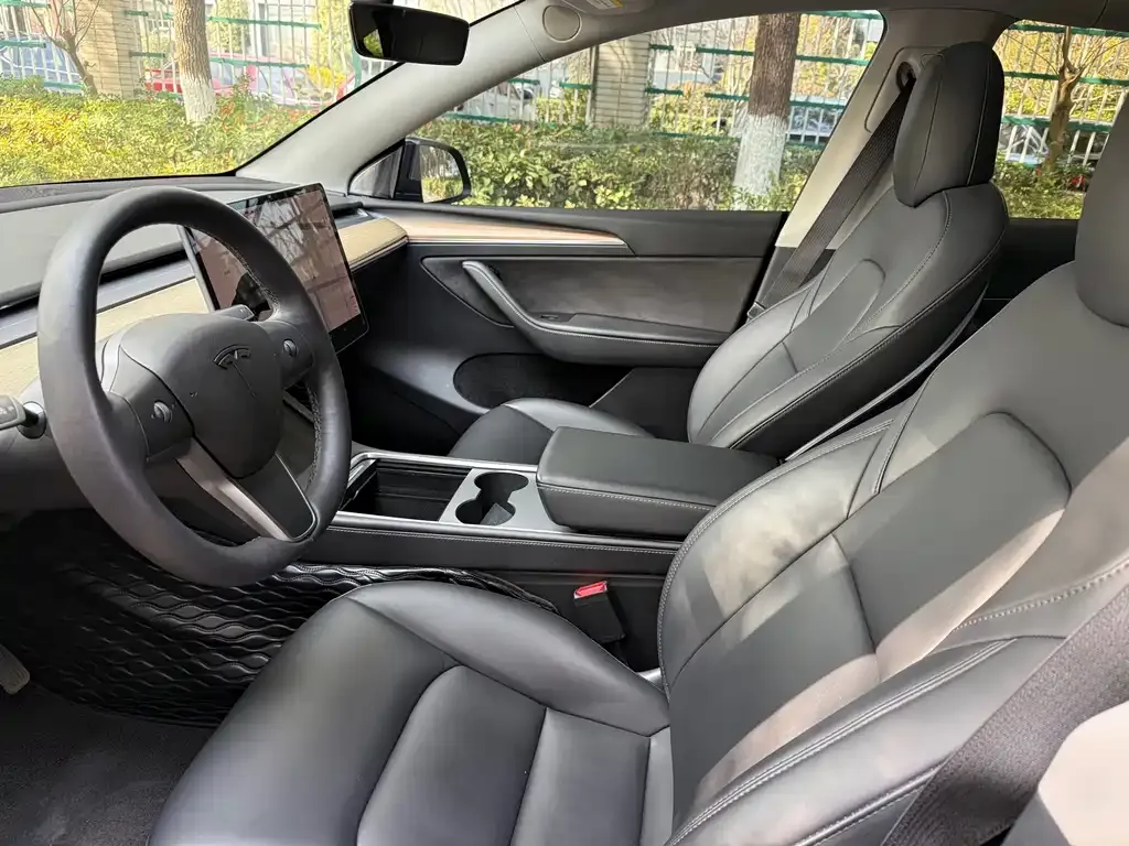 Tesla Model Y 2021 из CN, фото 7