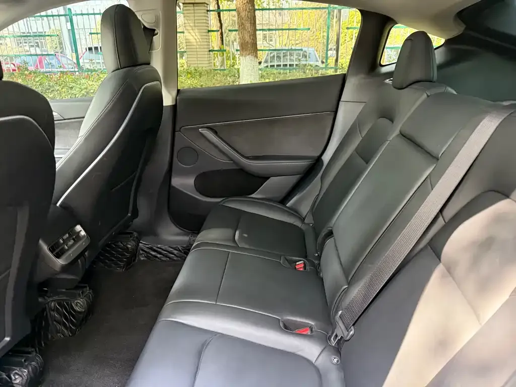 Tesla Model Y 2021 из CN, фото 4