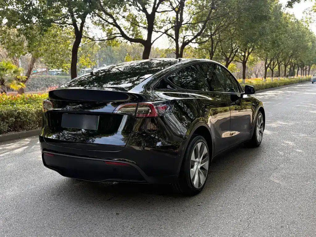 Tesla Model Y 2021 из CN, фото 6