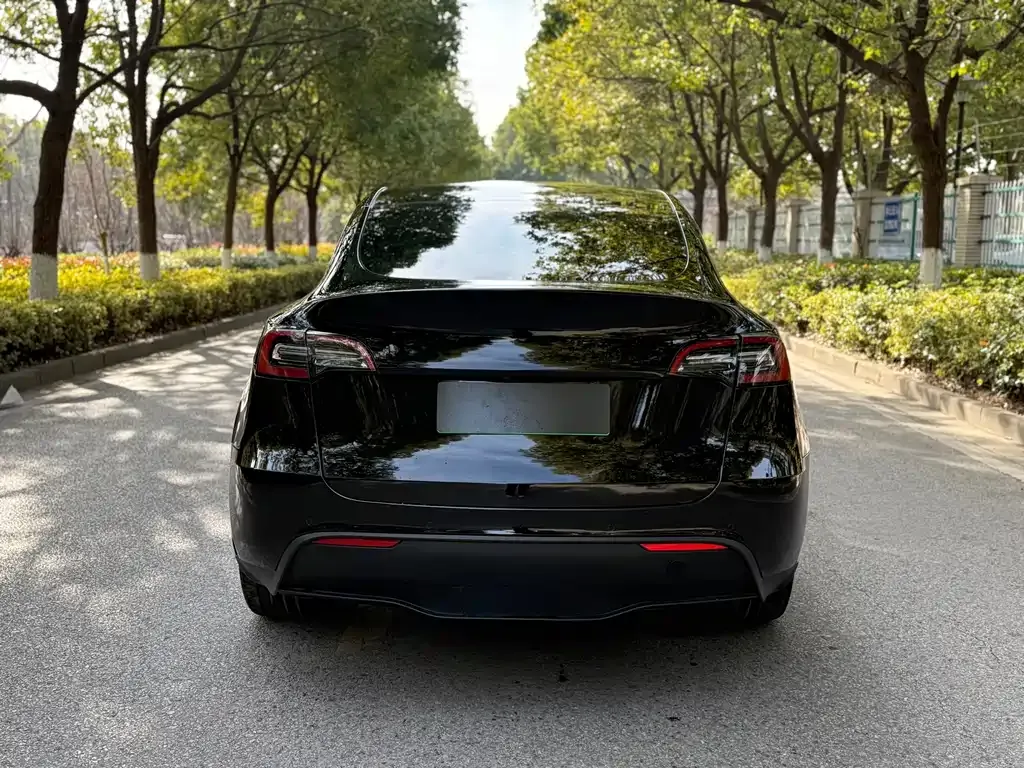 Tesla Model Y 2021 из CN, фото 9