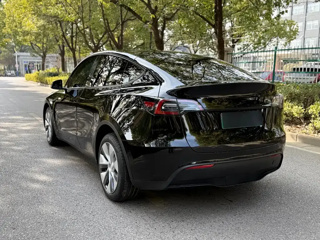 Tesla Model Y 2021 из CN, фото 5