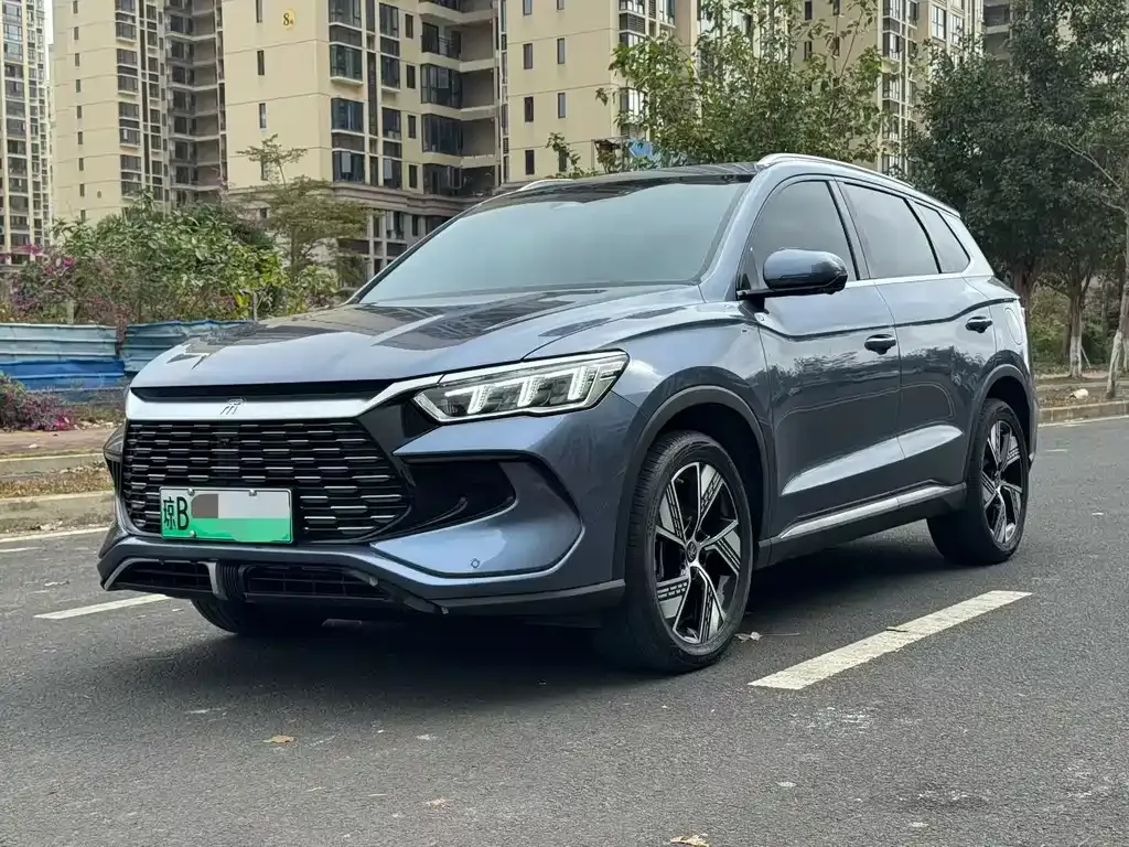 BYD Pro New Energy 2024 из CN, фото 1