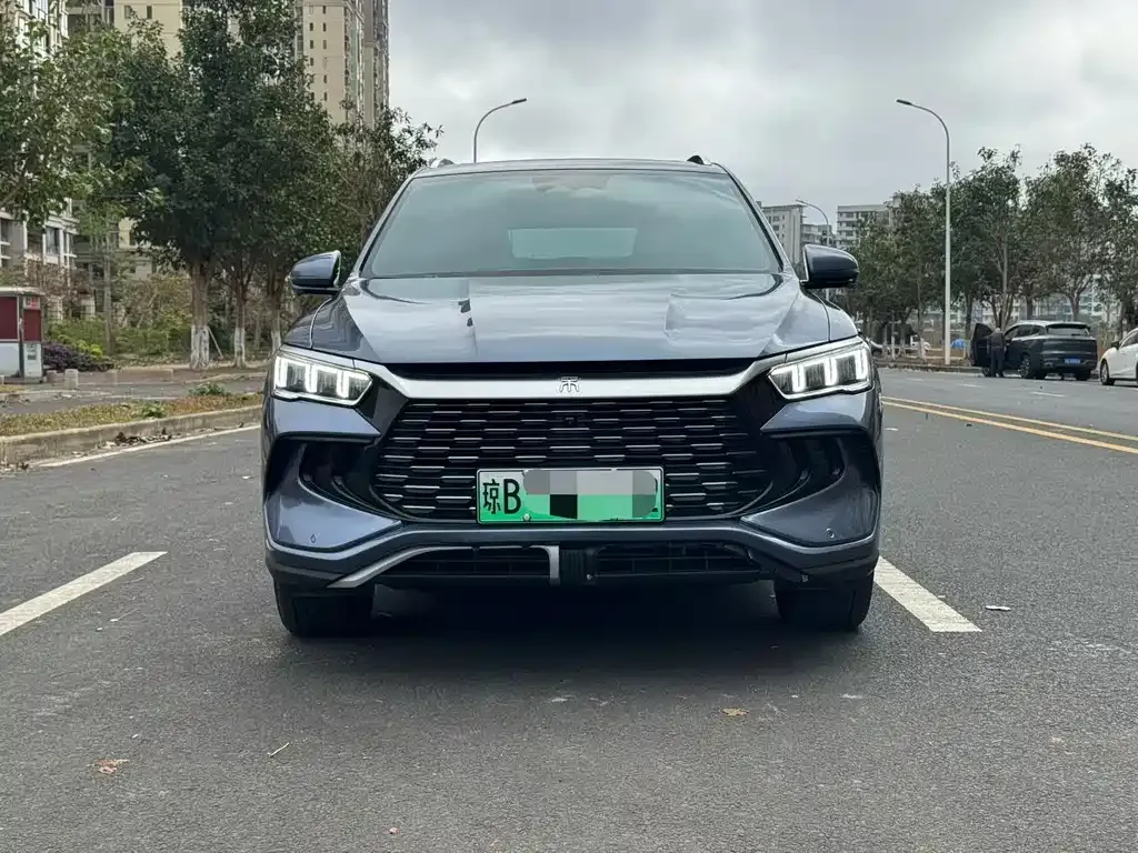 BYD Pro New Energy 2024 из CN, фото 6