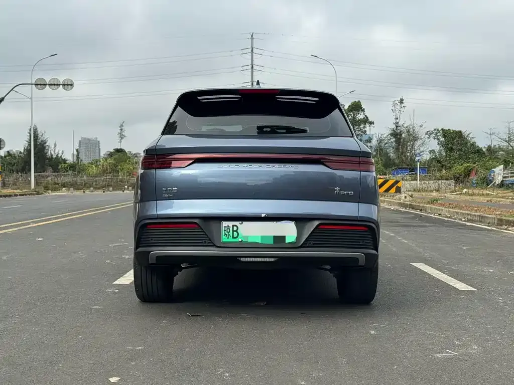 BYD Pro New Energy 2024 из CN, фото 2