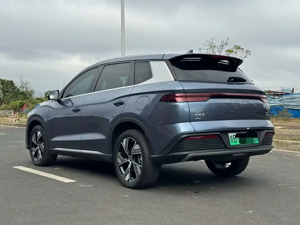 BYD Pro New Energy 2024 из CN, фото 7