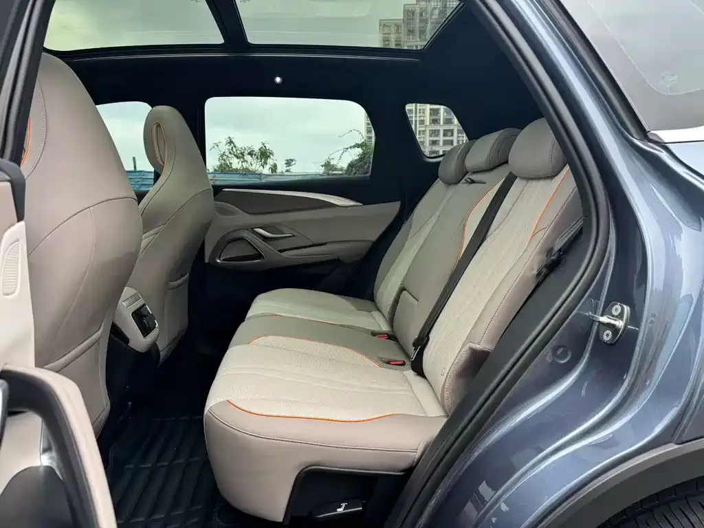 BYD Pro New Energy 2024 из CN, фото 3