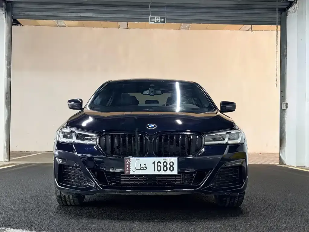 BMW 5 Series 2022 из CN, фото 4