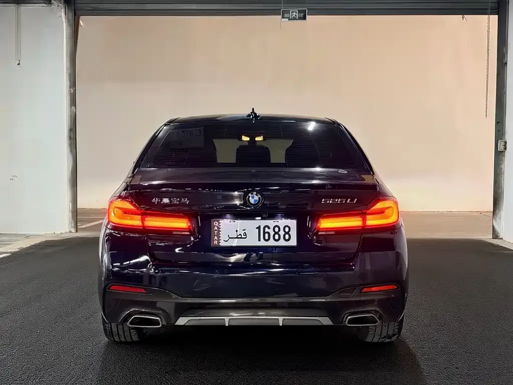 BMW 5 Series 2022 из CN, фото 3
