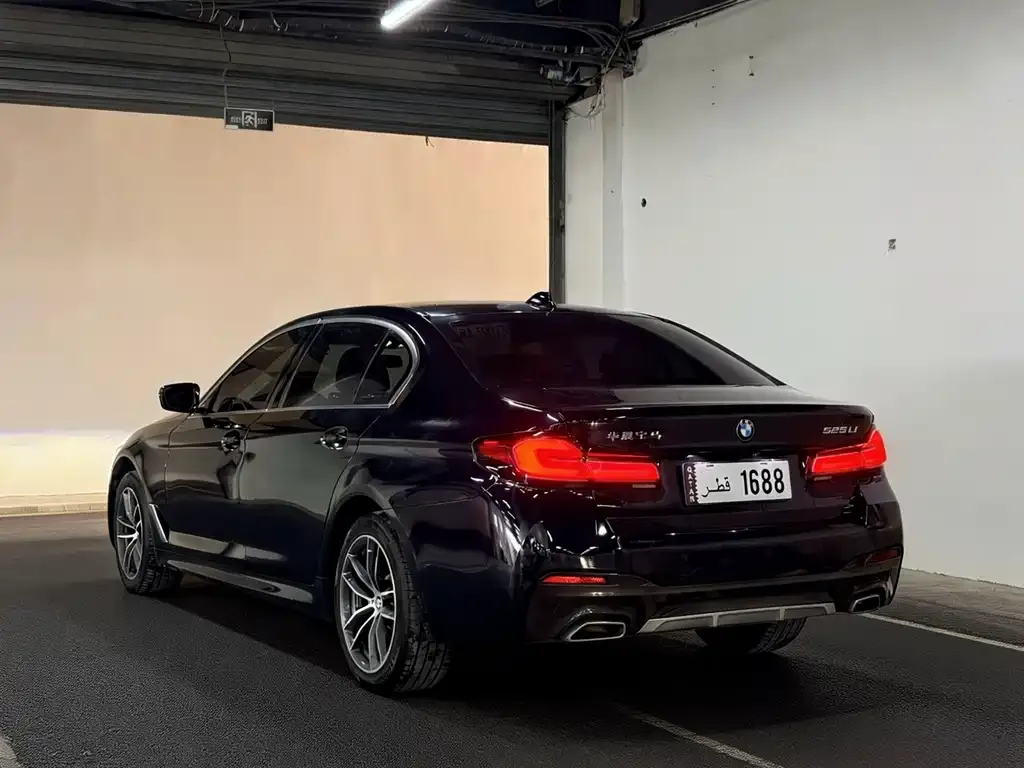 BMW 5 Series 2022 из CN, фото 6