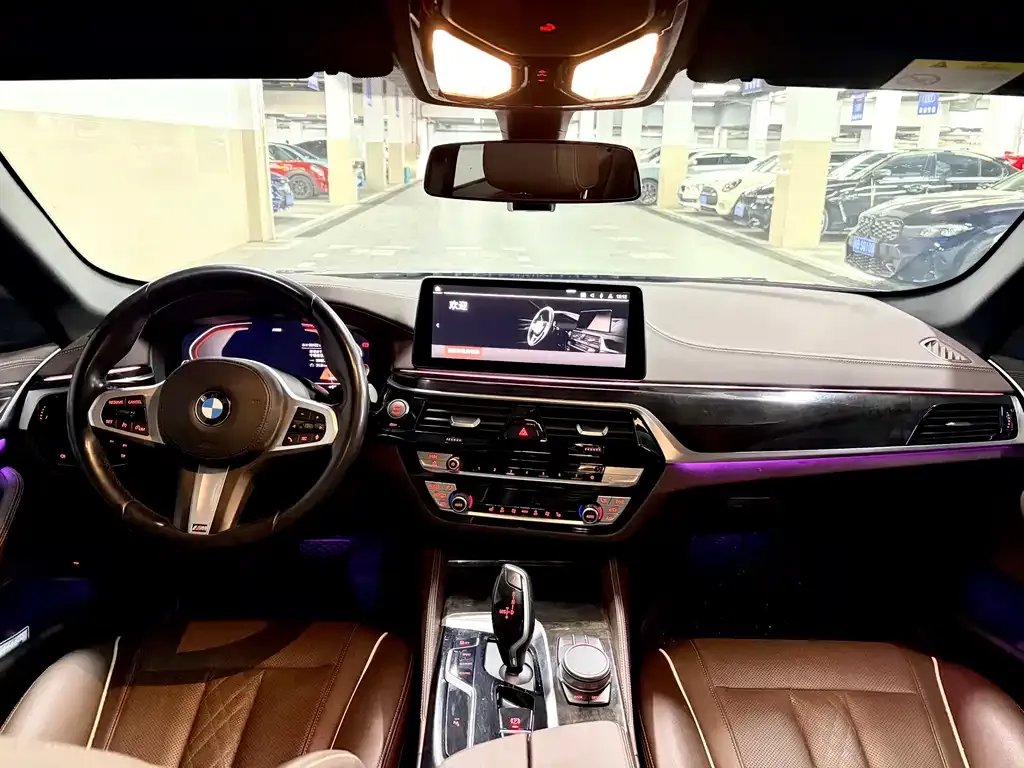 BMW 5 Series 2022 из CN, фото 8