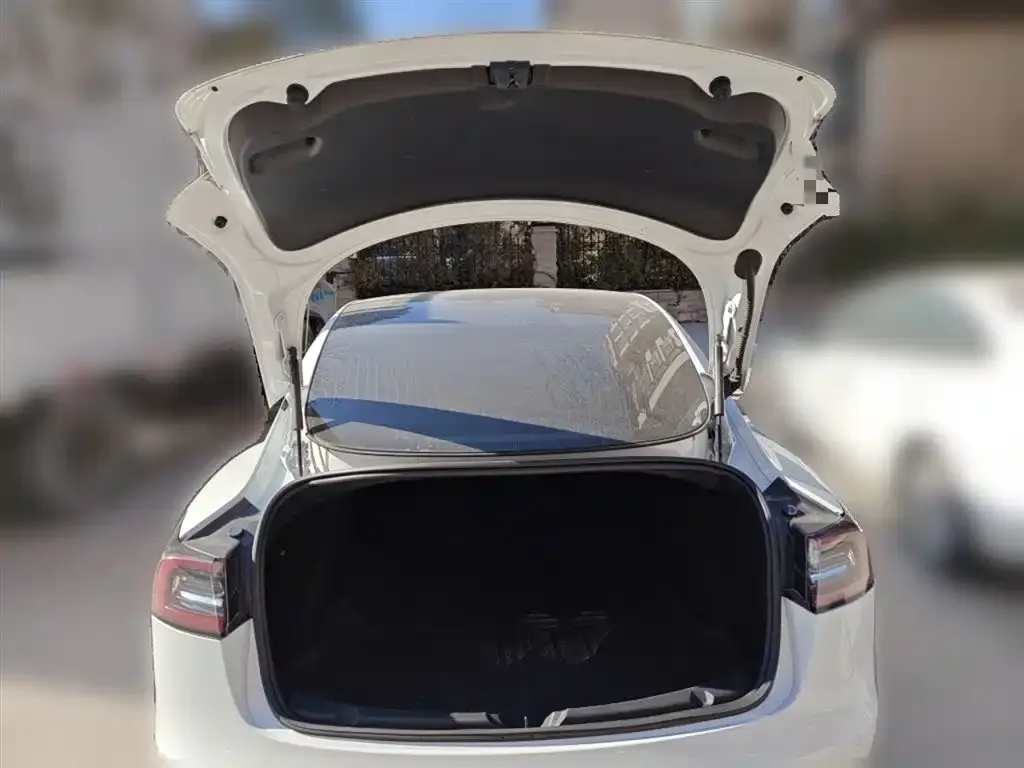 Tesla Model 3 2021 из CN, фото 4