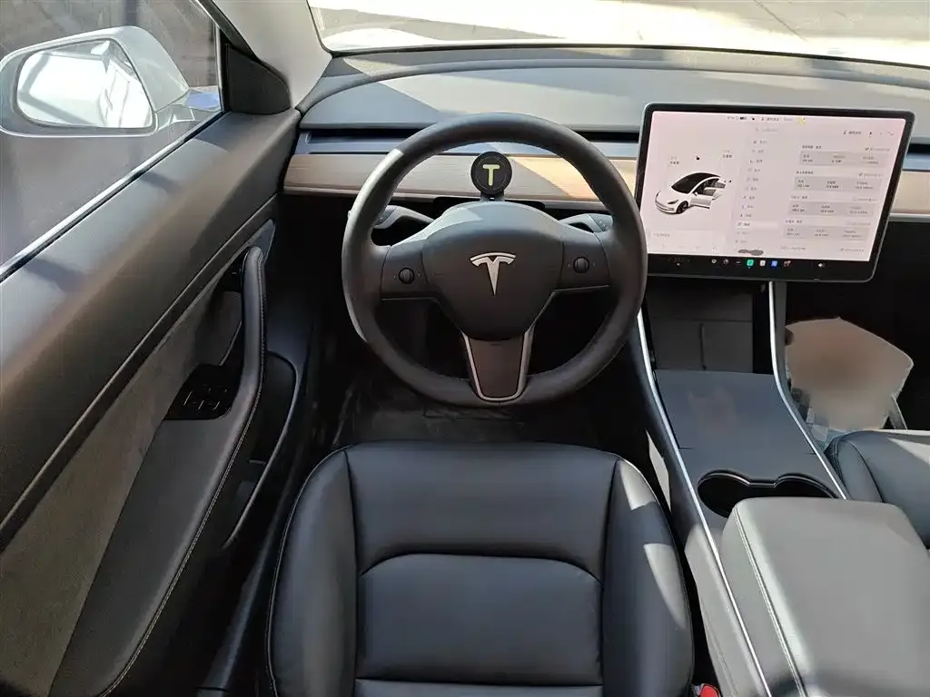 Tesla Model 3 2021 из CN, фото 6