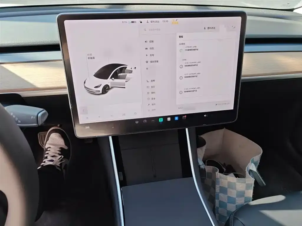 Tesla Model 3 2021 из CN, фото 7