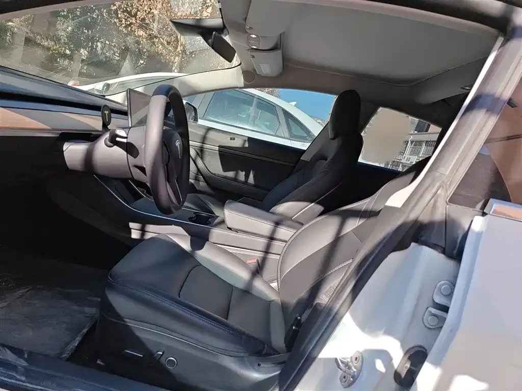Tesla Model 3 2021 из CN, фото 10