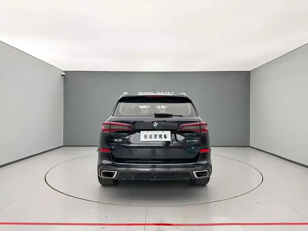 BMW X5 (Import) 2021 из CN, фото 4