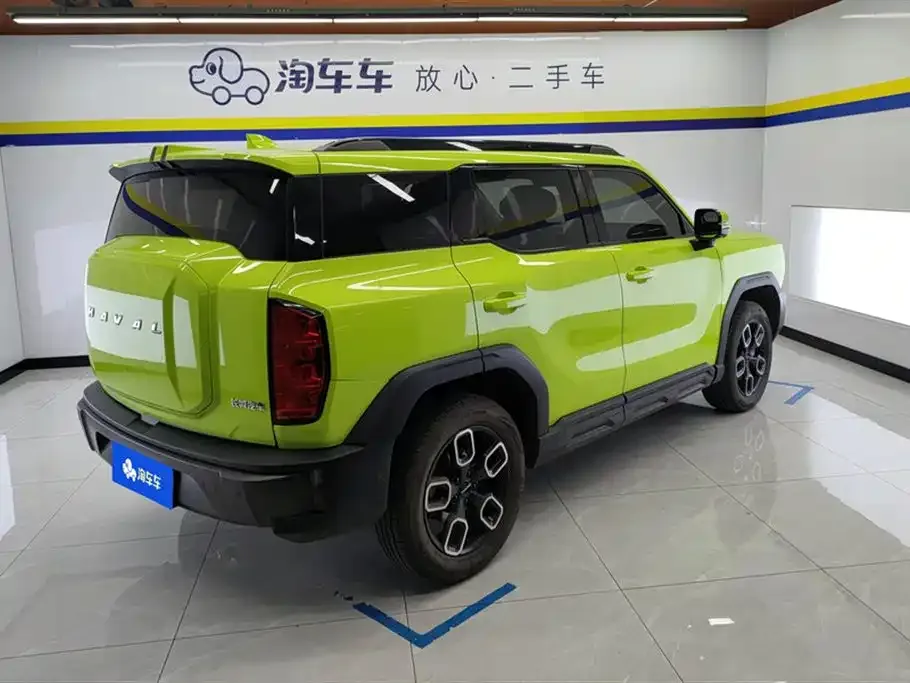 Haval Cool Dog 2022 из CN, фото 4