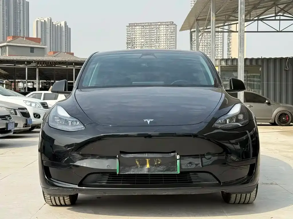 Tesla Model Y — фото 9