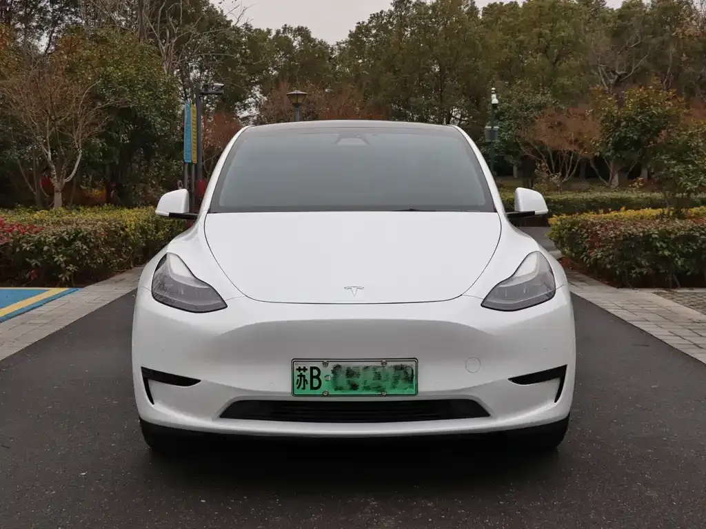 Tesla Model Y 2023 из CN, фото 1