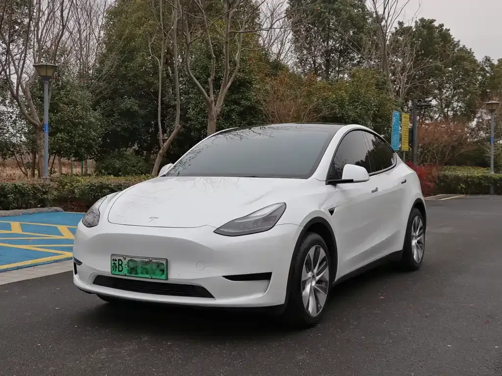 Tesla Model Y 2023 из CN, фото 6