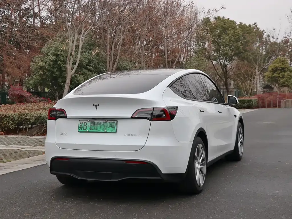 Tesla Model Y 2023 из CN, фото 5