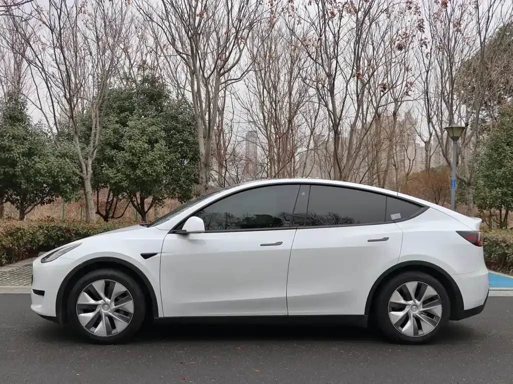 Tesla Model Y 2023 из CN, фото 8