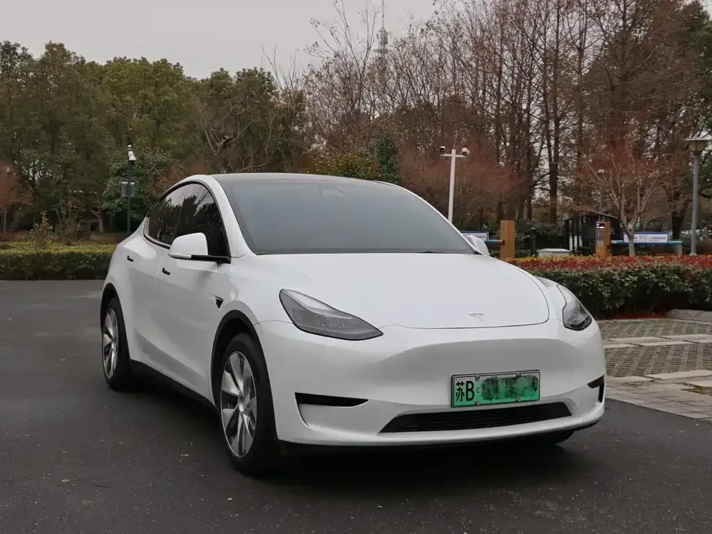 Tesla Model Y 2023 из CN, фото 3